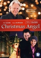 Christmas Angel 2009 subtitrat gratis in romana