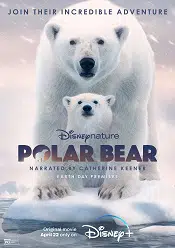Polar Bear 2022 online subtitrat in romana