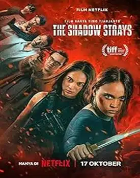 The Shadow Strays 2024 film online subtitrat hd